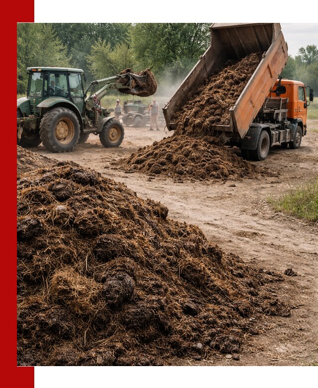 Доставка навоза самосвалами в Великом Устюге для сельхозпотребностей
